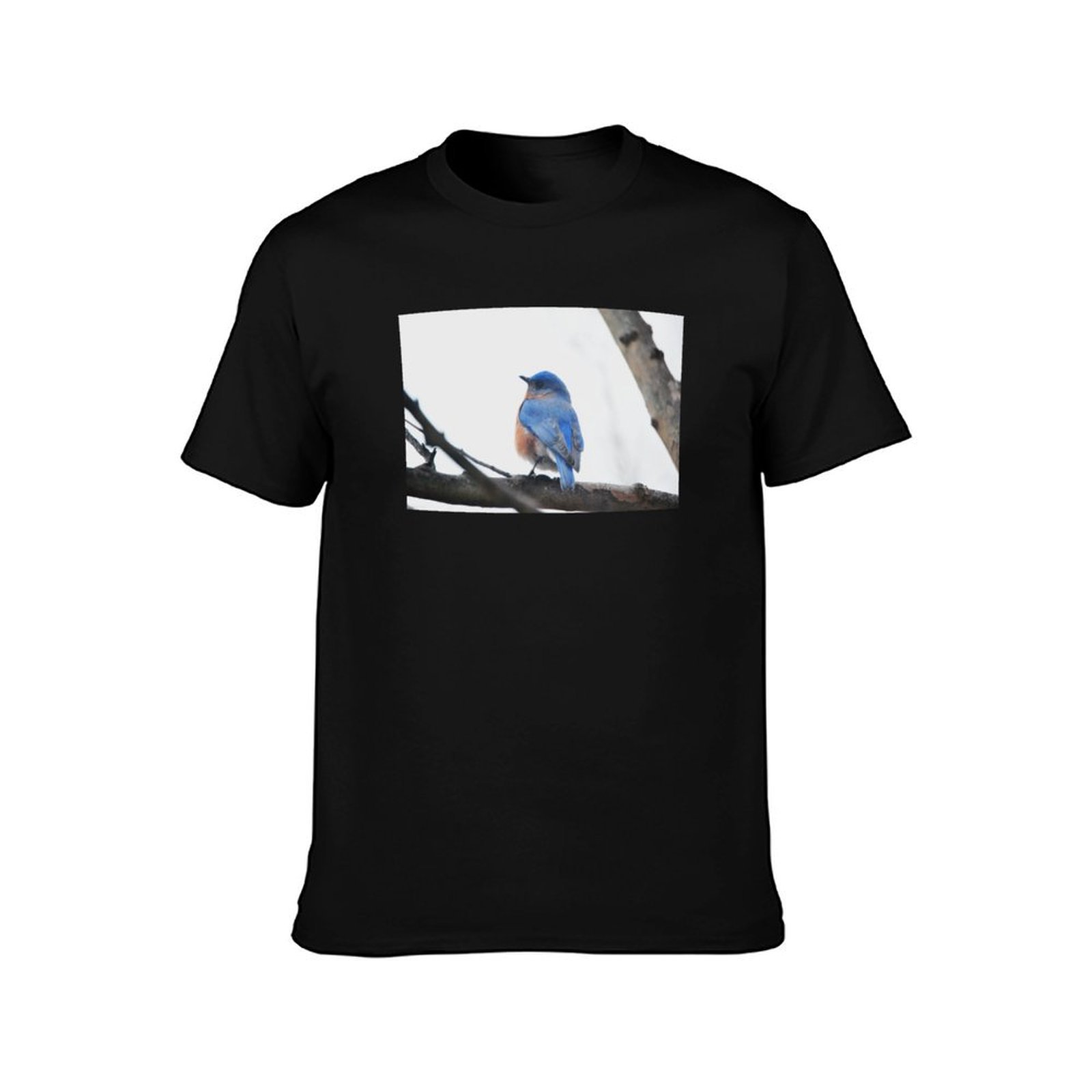 Camiseta masculina para fotogr - Photography Training avaliação e preço